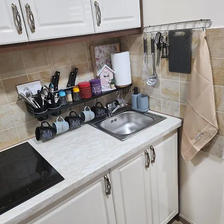 Apartment Zlatiborski Raj *